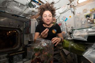 Astronaut Jessica Meir enjoys some freshly harvested mizuna mustard greens on the International Space Station on Oct. 30, 2019. 
