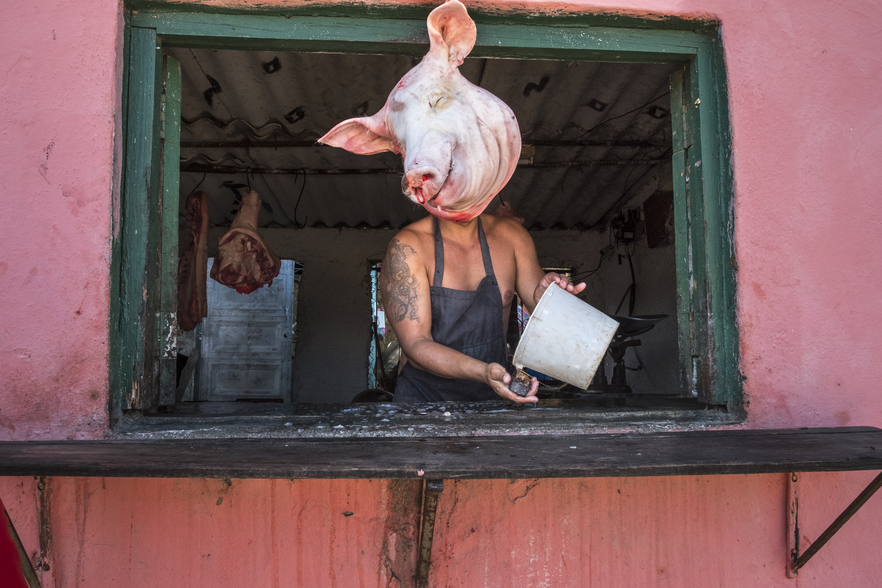 A butcher with a large tattoo on his arm works behind a window, perfectly positioned so a hanging pig's head appears to be his own.