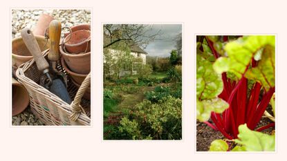 composite of three images depicting different stages of winter gardening