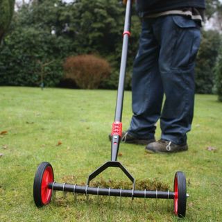 Wheeled scarifier for lawn care