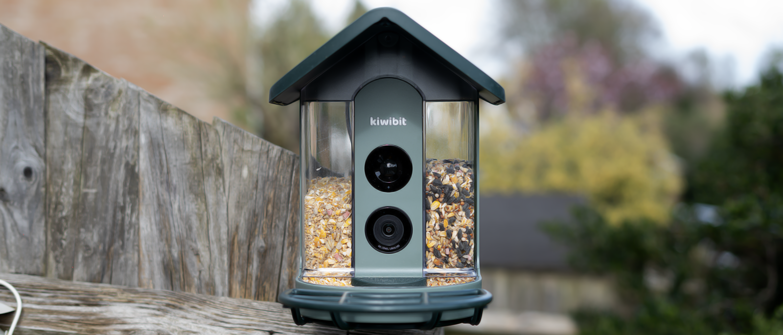 A Beako AI 4K smart bird feeder