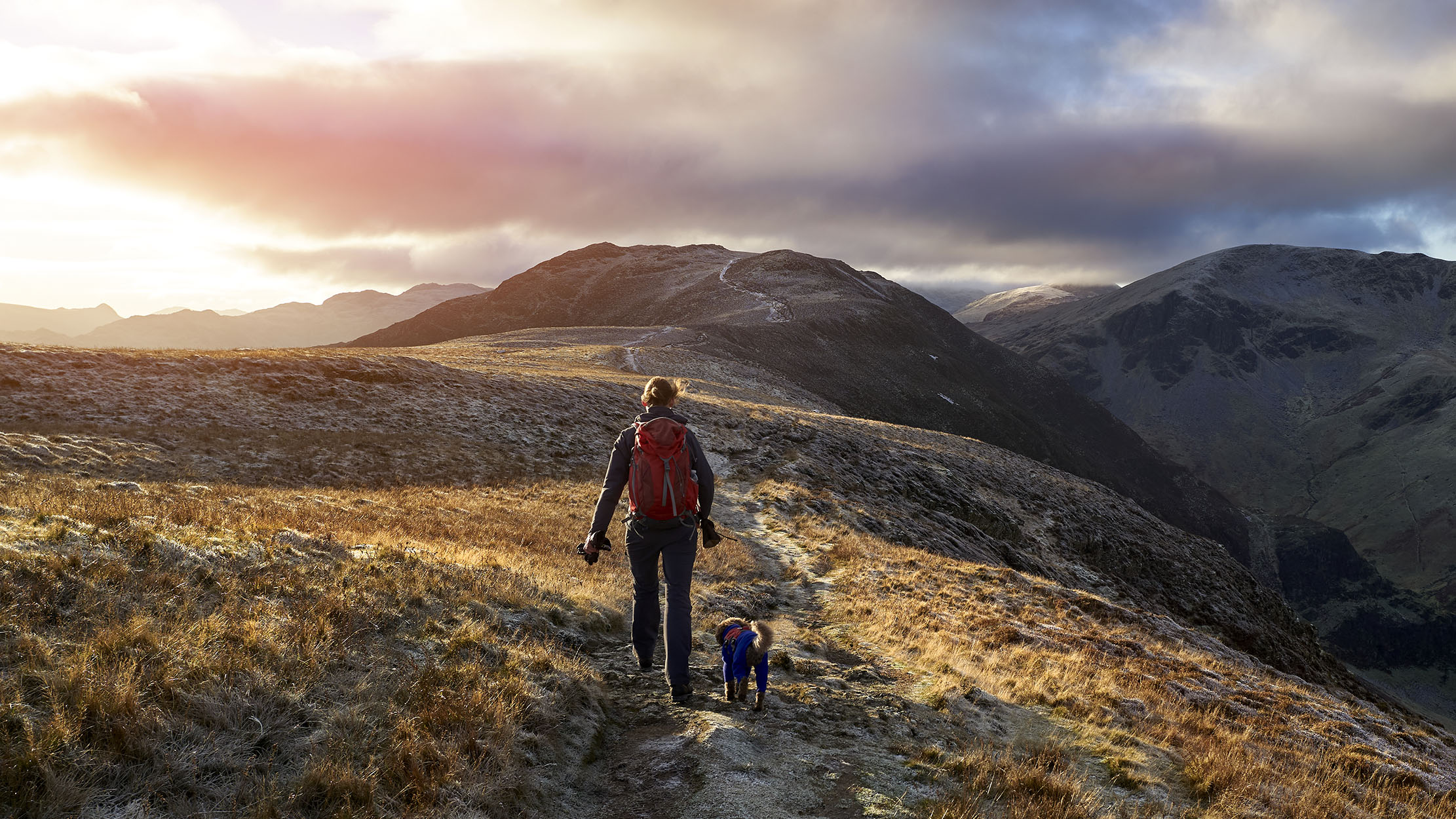 Going for a walk can do you the world of good 