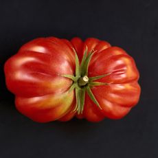 close focus on heirloom tomato with black background 