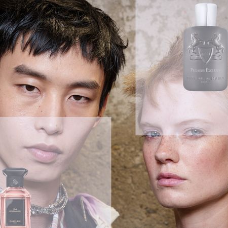 two models surrounded by colognes