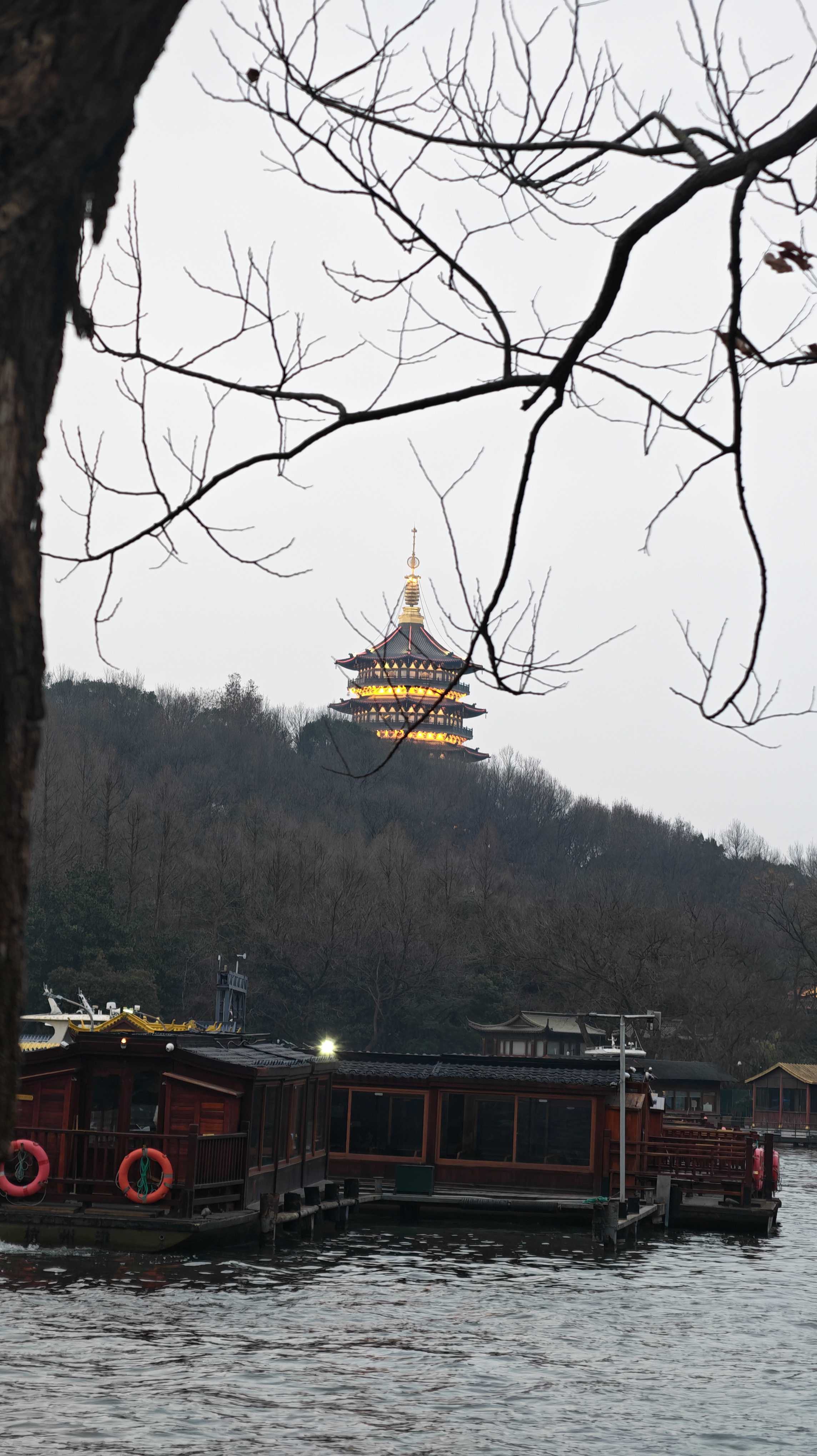 Honor Magic 8 Pro camera samples