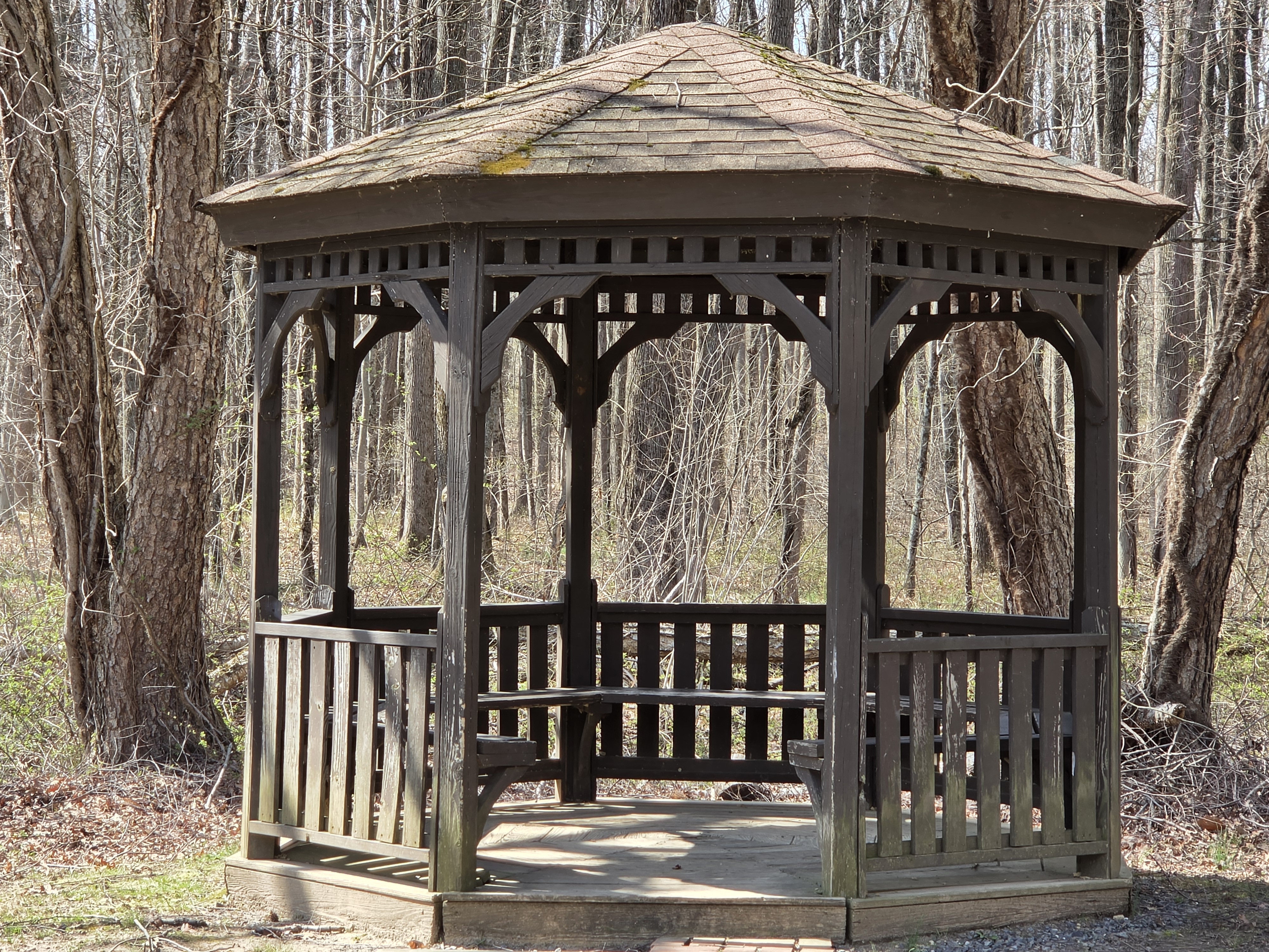 Samsung Galaxy S26 Plus camera samples