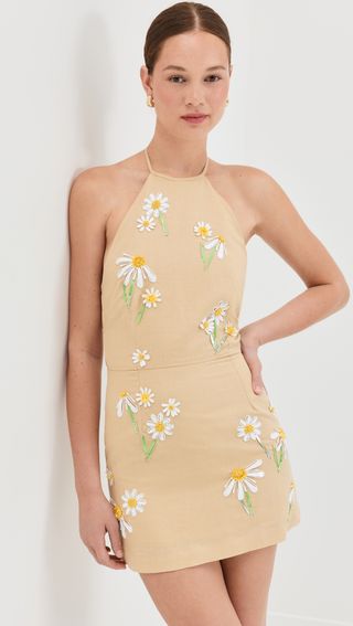Delilah Embroidered Mini Dress