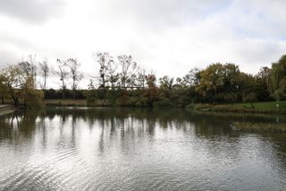 Photo of a tree lined lake