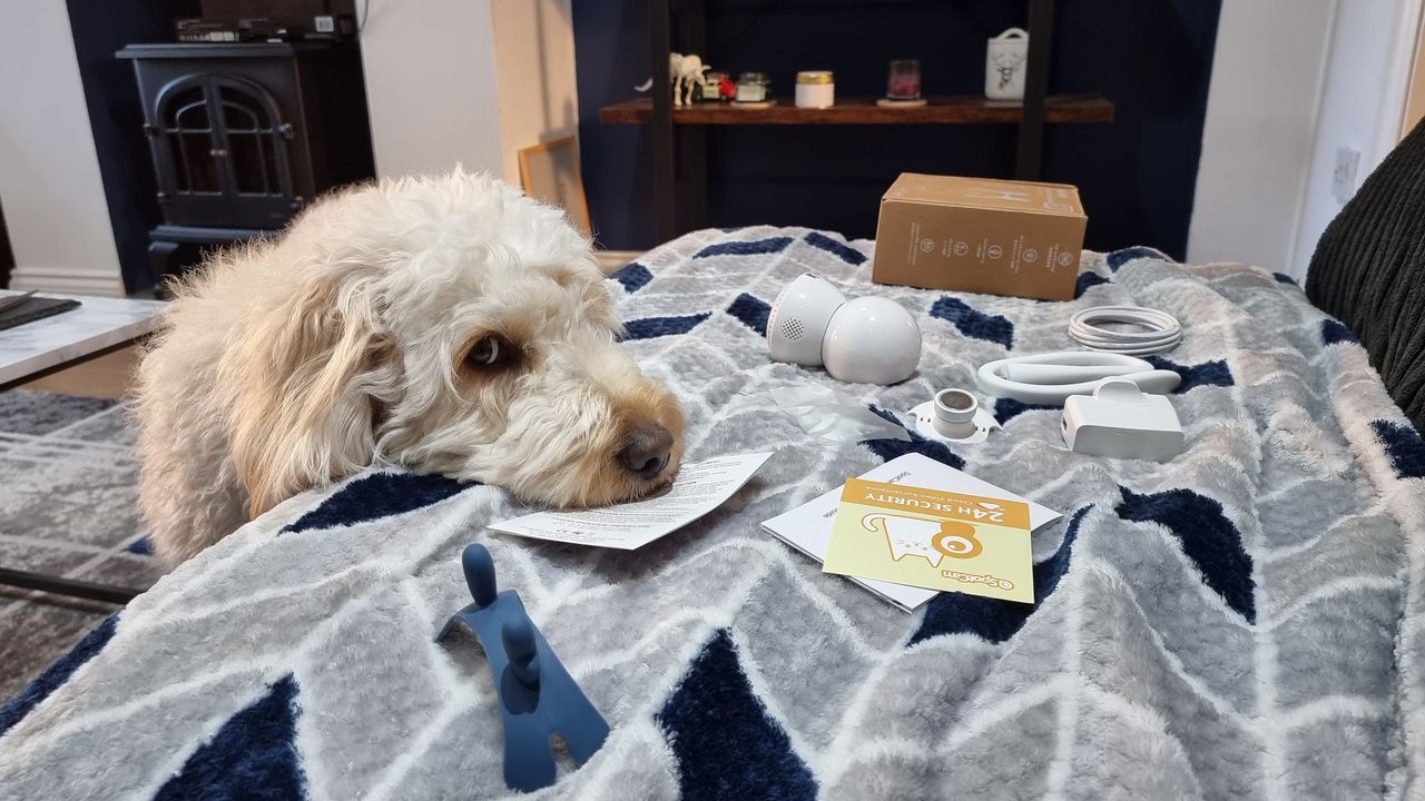 SpotCam Mibo pet camera review