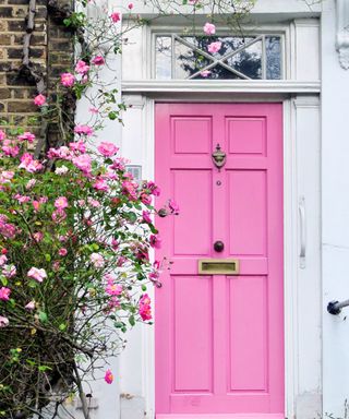 A bright pink front door with white framing around it and a pink flower bush to the left of it
