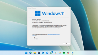 Windows 11 version 25H2 in Winver