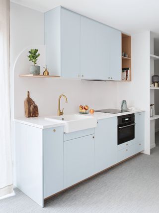 Small blue kitchen with IKEA base units