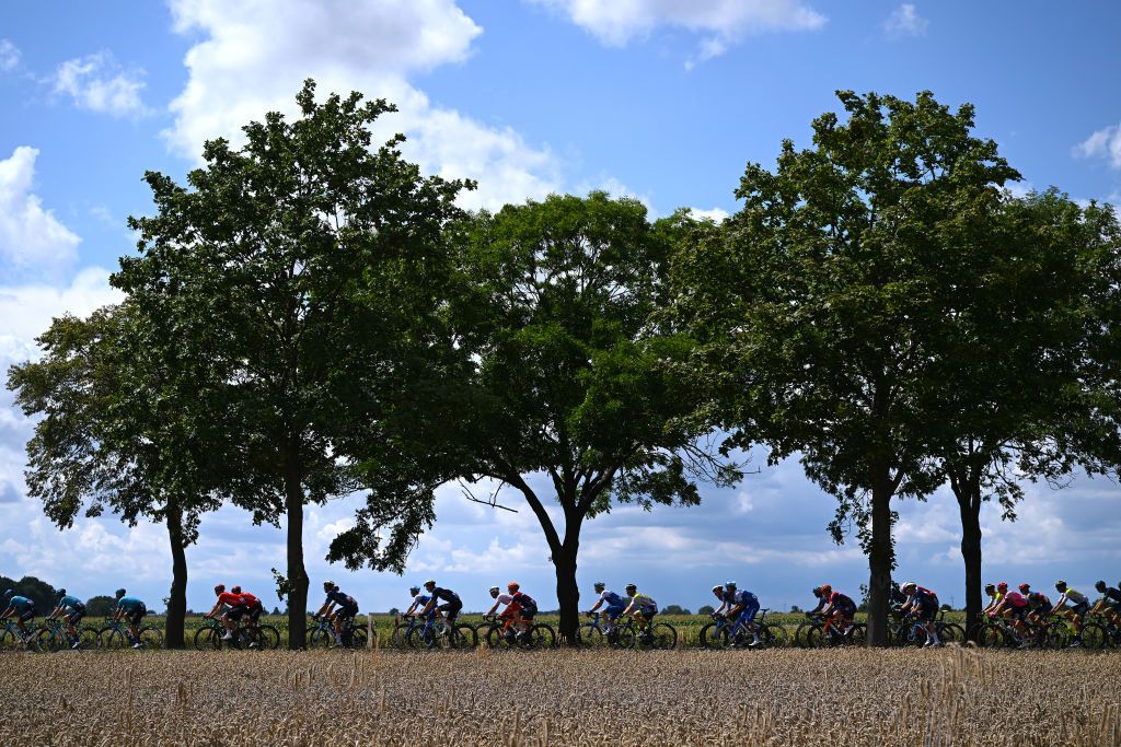 Peloton under sunny skies