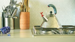 Metal whistle kettle on the hob in a kitchen to highlight an unexpected place mould may be hiding