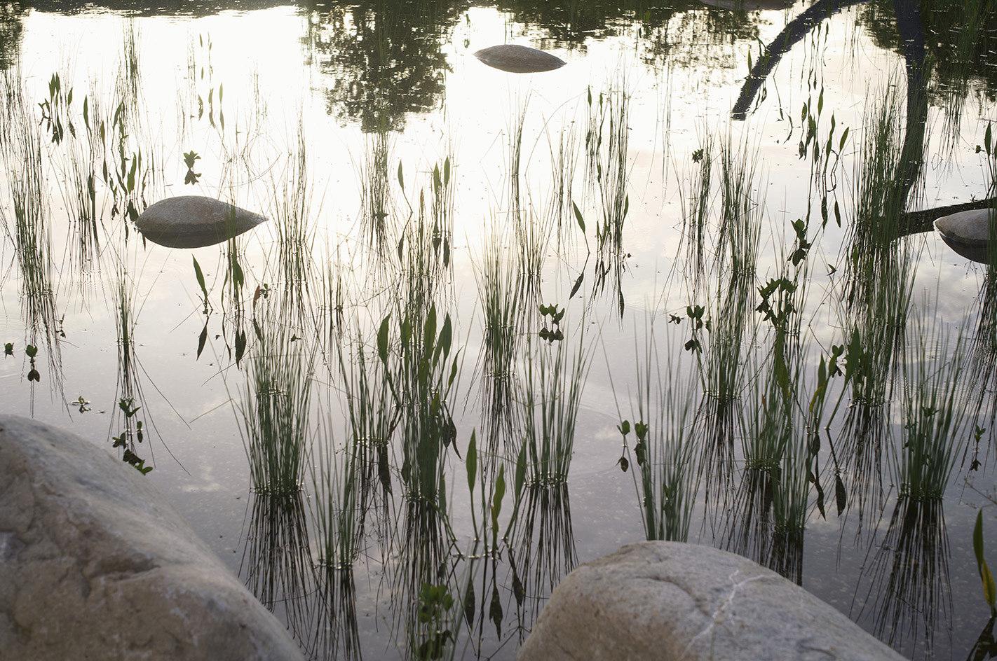 view of landscape design Water Garden by Bas Smets at the Vitra Campus