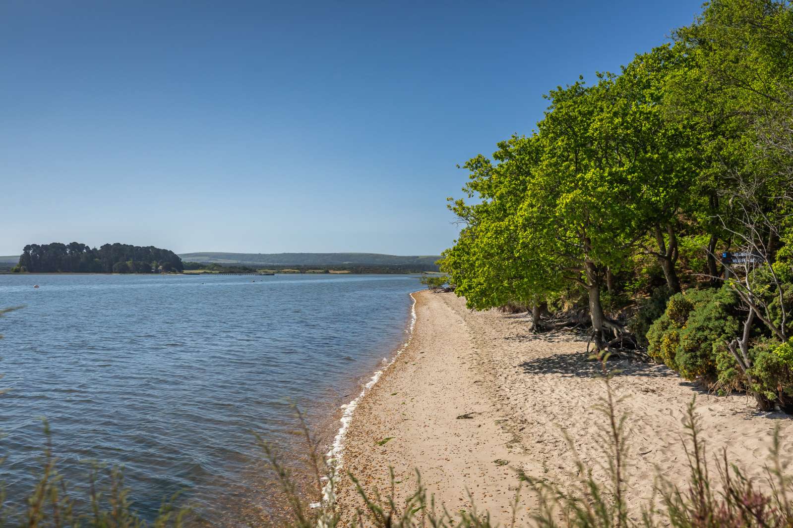 Shipstal Point in Dorset is for sale via Savills
