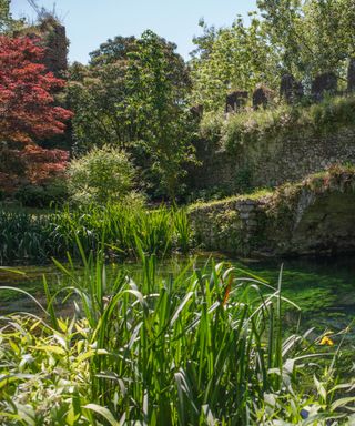 Garden of Ninfa, Arabella Lennox-Boyd's inspiration