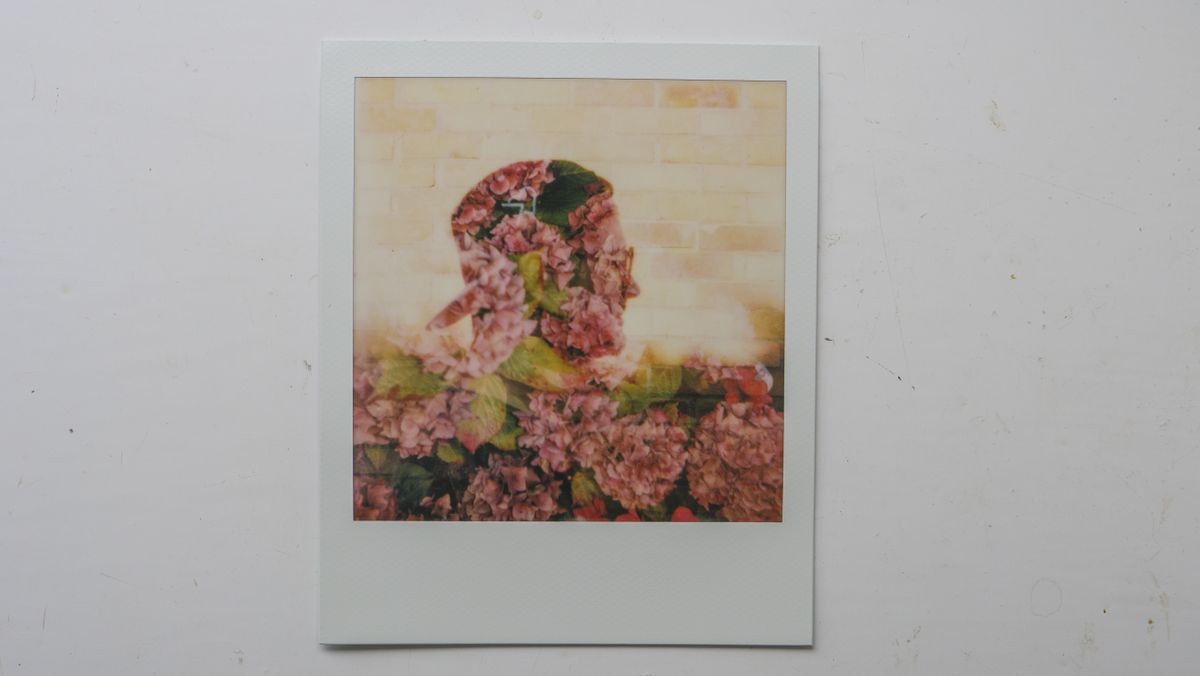 Polaroid Now Plus Sample Image