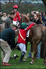 ponyracingbdmain.jpg