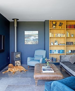 living room with deep blue walls, woodburner, blue armchairs, gray sofa, and bookcase