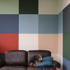 All of Farrow & Ball's new paint colours on the wall in a living room, and a dark brown sofa with a dog on it