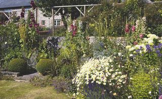 lloyd cottage garden flower borders