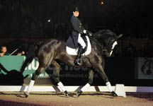katie-price-hoys.jpg