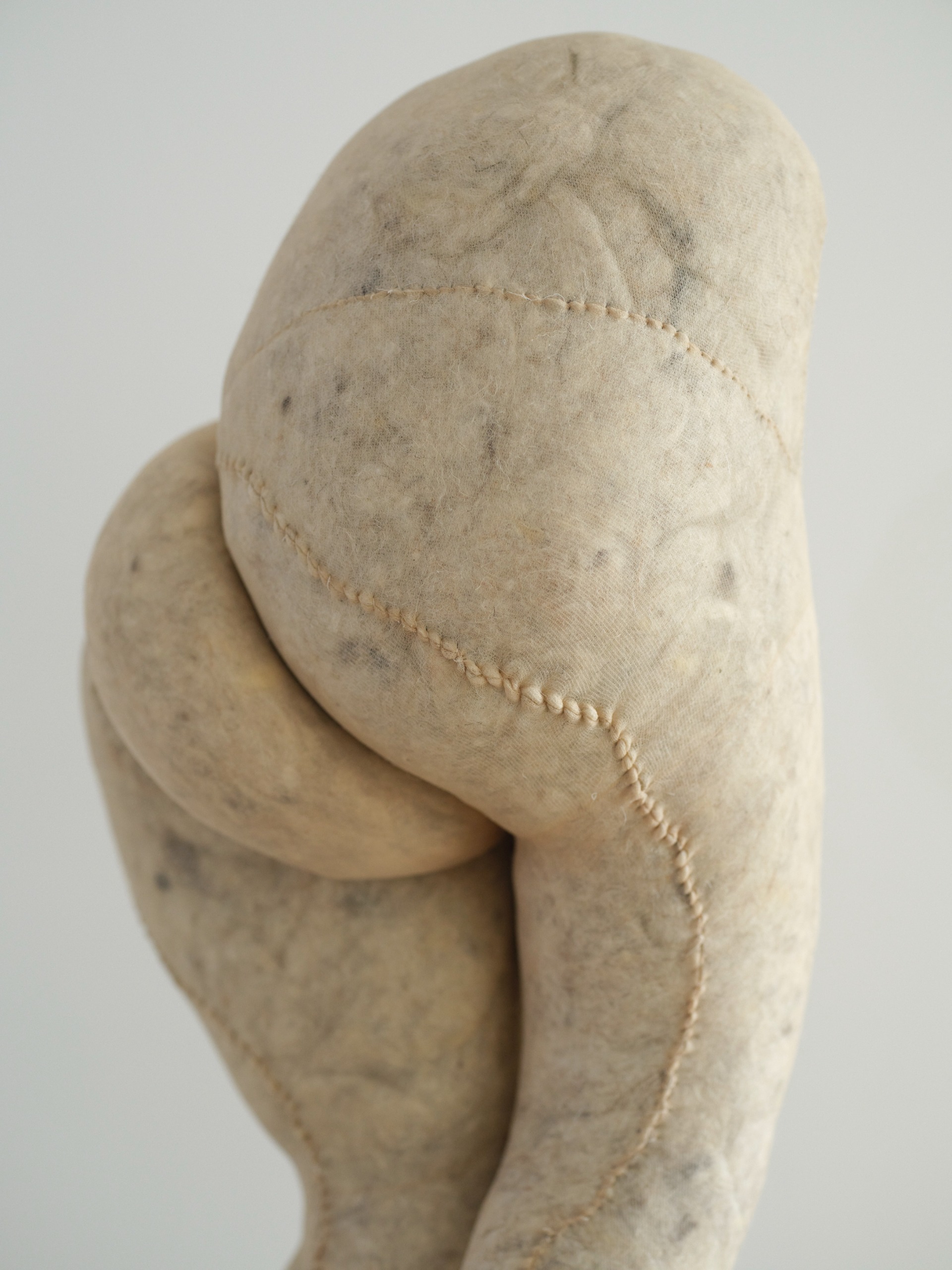 nicola turner's horeshair sculptures