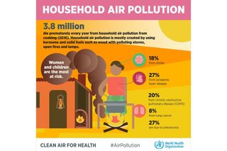 The WHO has a range of resources on household air pollution. 