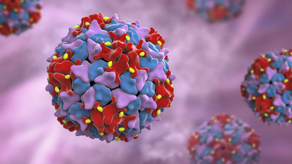 illustration of polio virus particles