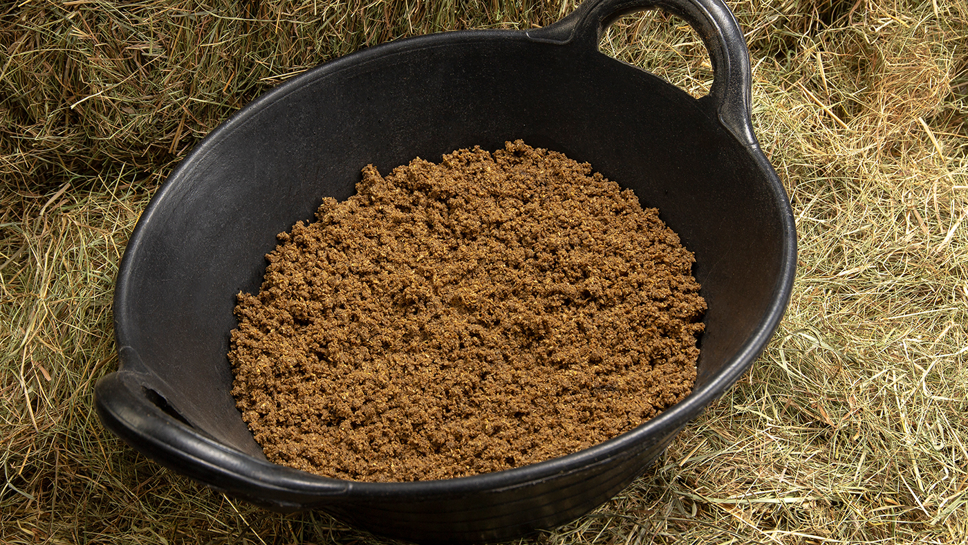 Close up of Spillers Speedy Mash soaked fibre feed hay replacer