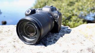 Canon EOS R6 sitting on a wall with its 24-240mm lens