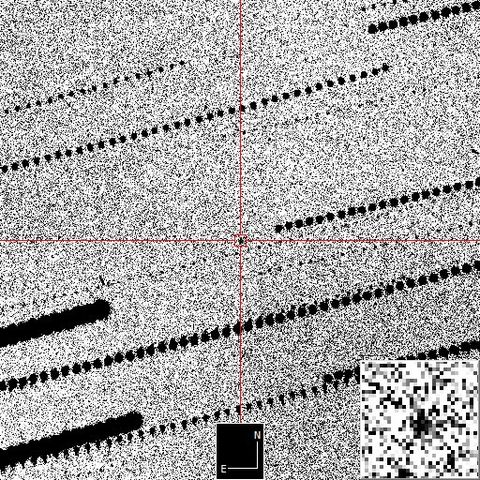 Boner Bears Male Enhancement Honey 15 pack