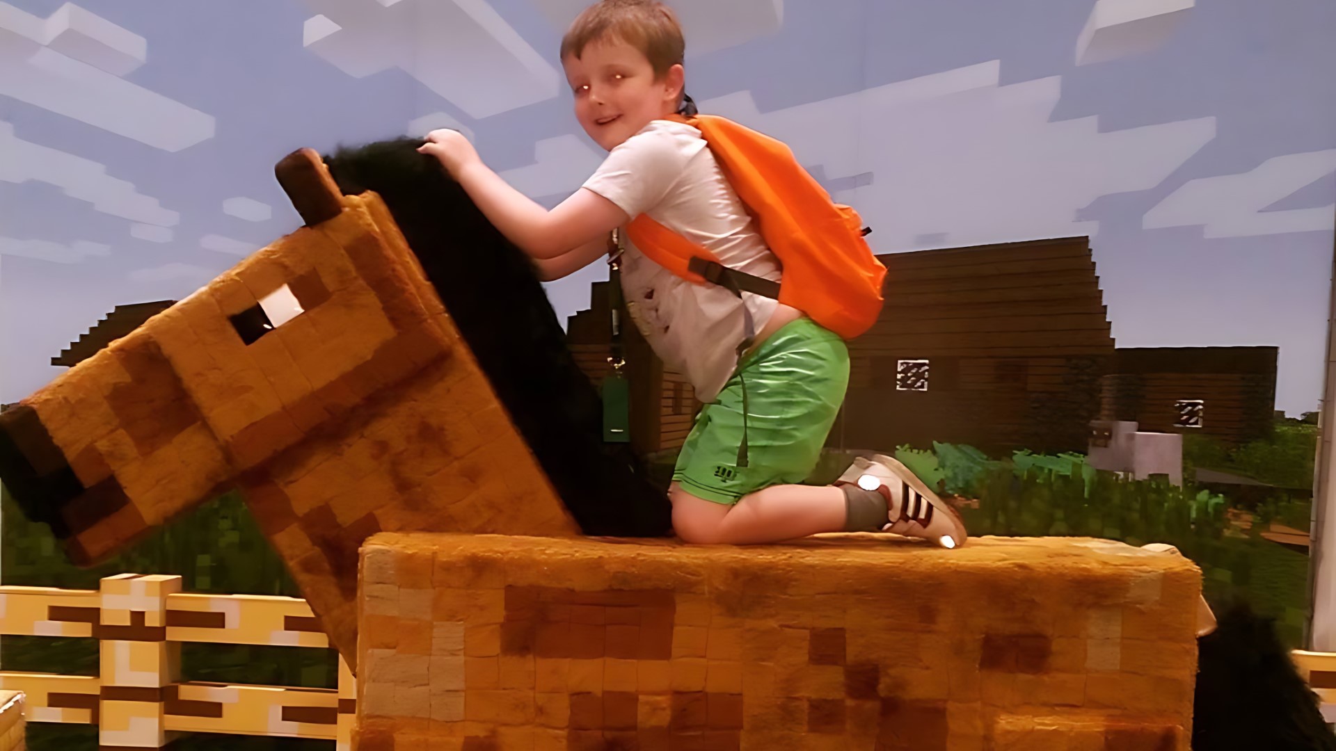 Minecon 2015 images