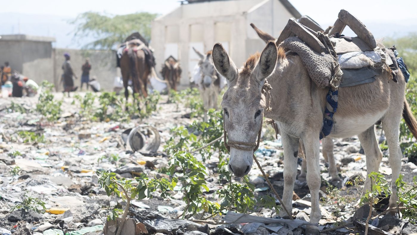 Haiti-1.jpg