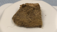 a chunk of hair-covered animal flesh sits on a white plastic pedestal