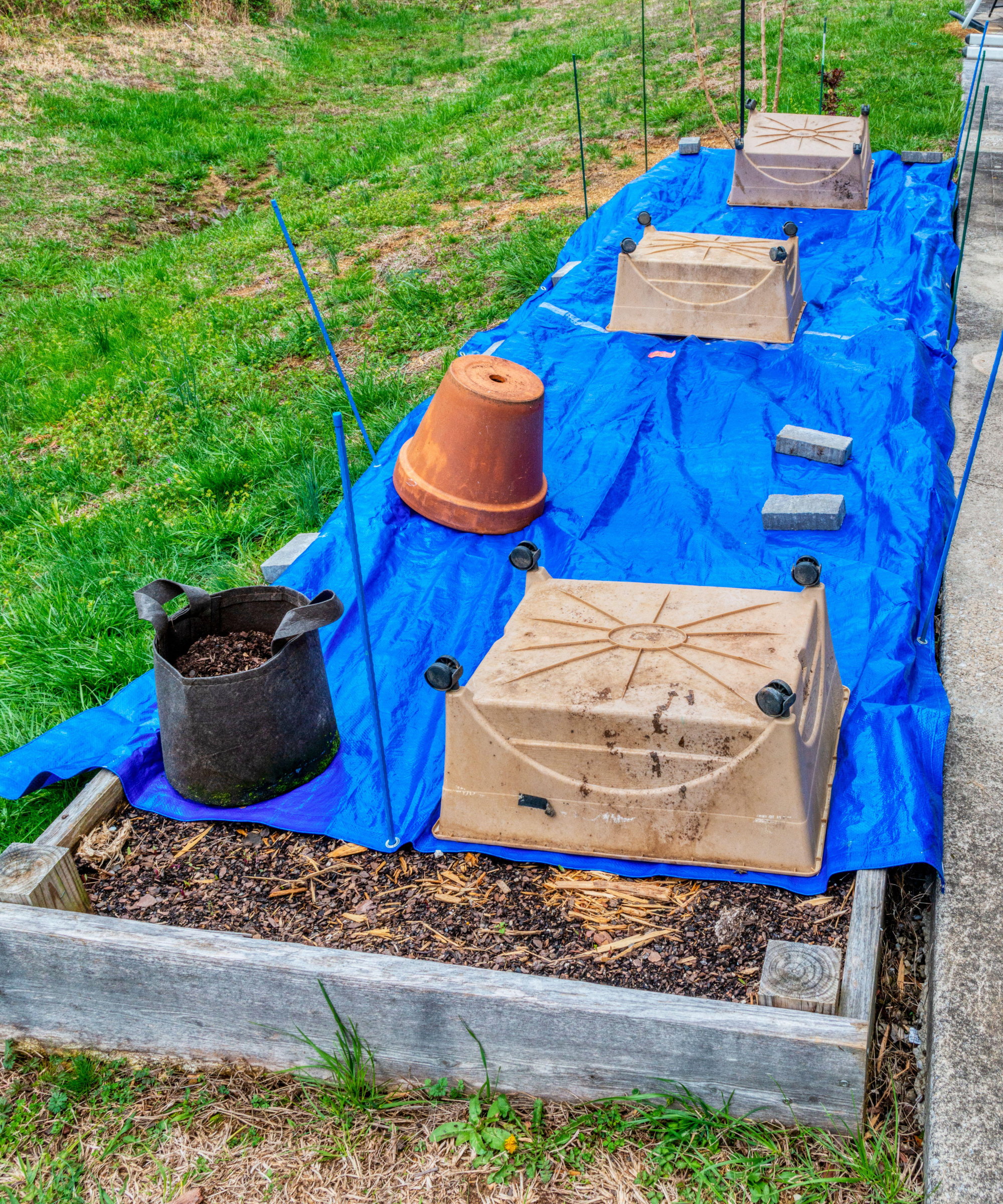 A raised bed covered with a blue tarp for winter