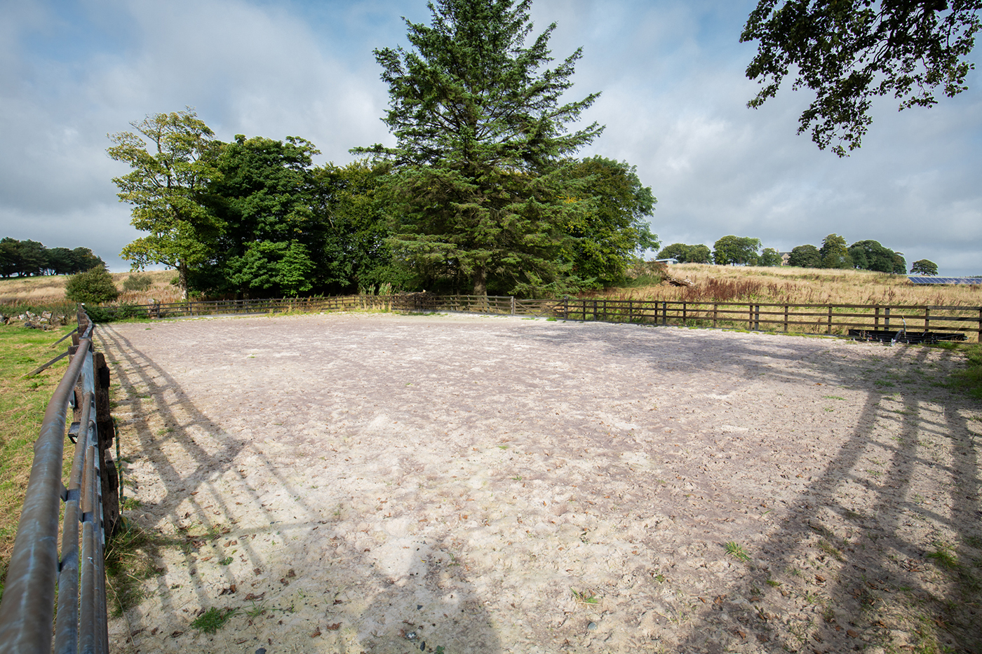 Meadowlands Farm, Galbraith (23)