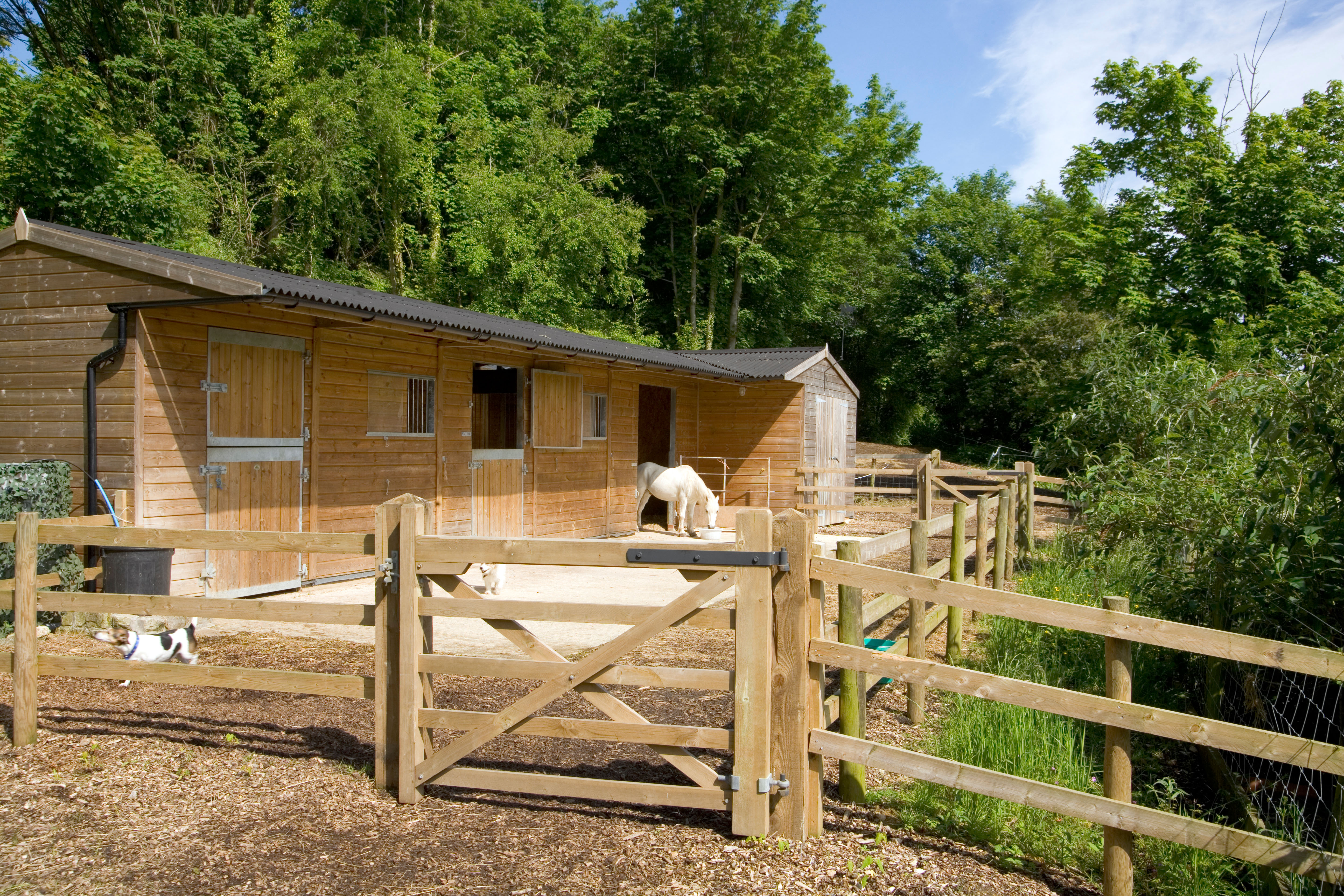 Timber stable block with horse in doorway