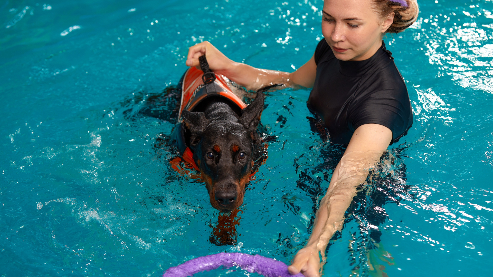 A dog in a life jacket swimming in a hydrotherapy pool