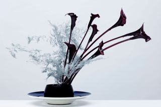dark purple and white flowers in black bowl against white background made by Meta Flora in New York