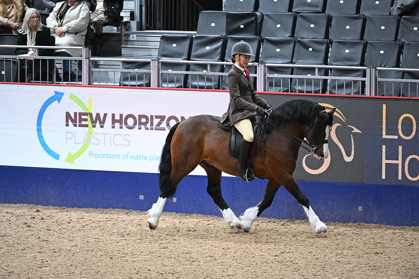 HorseNo20_LIHS_PN23_120781