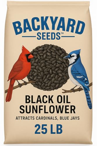 Countrymax Backyard Seeds Black Oil Sunflower Seeds for Wild Birds 25lbs - Thin Shells, Premium Cardinal Food, Medium Bag of Black Oil Sunflower Seeds