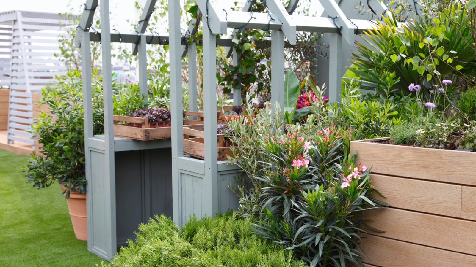 A blue framed shed/greenhouse with wooden crates of produce inside. Surrounded by lush green bushes and plants. 