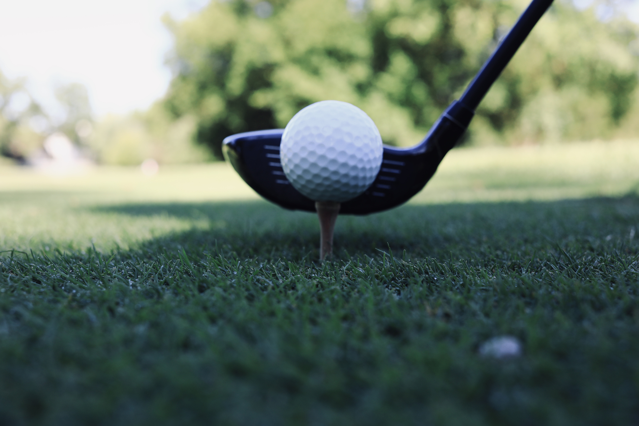 golf club teeing up a ball on the green