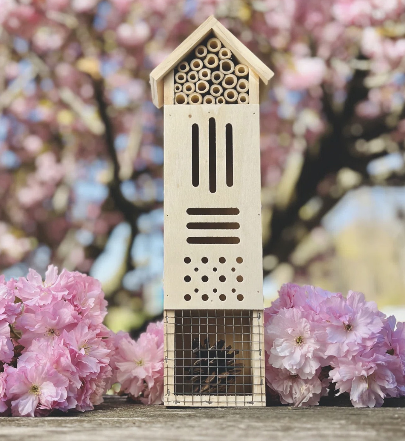 Gracie Oaks Pollination Palace with cherry blossoms