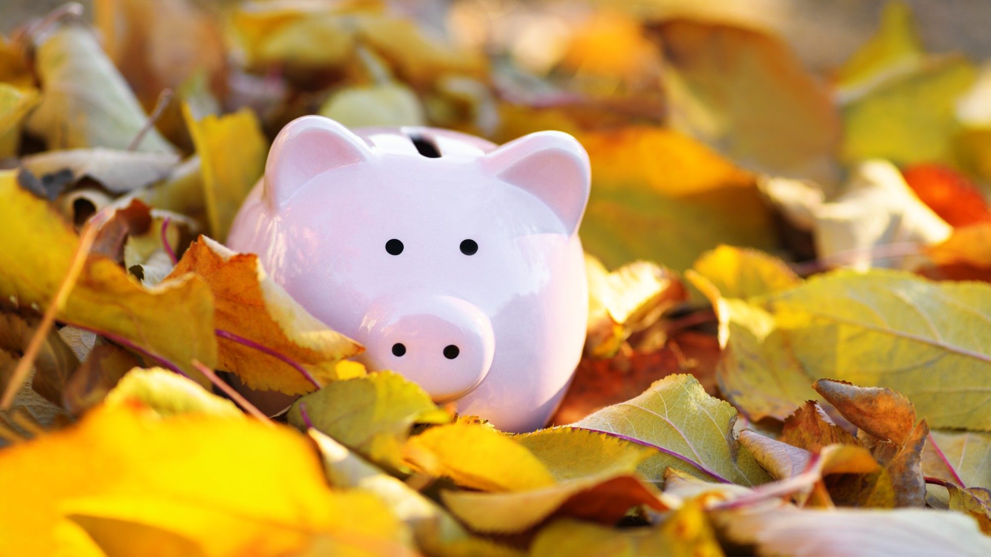 theweek.com - Marc Shoffman, The Week UK - What the Autumn Budget could mean for your finances