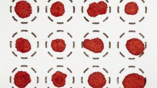 Three rows of four dried blood spot tests on white fiber filter. The top and bottom rows are slightly cut off by the image dimensions. In each test, a red spot of blood can be seen in inside a circle drawn using dashed black lines.