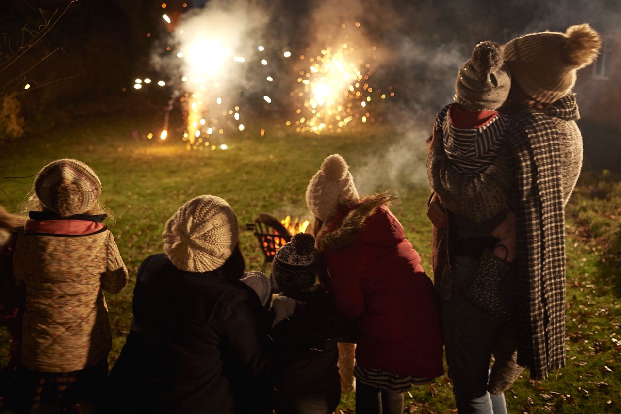 fireworks display in garden