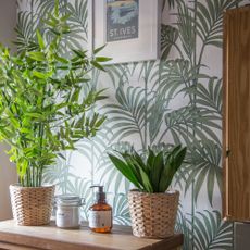 Houseplants on a table with a palm-print wallpaper behind them